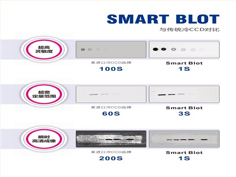 Smart Blot超敏芯片生物定量系统 - 4