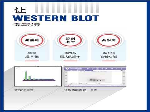 Smart Blot超敏芯片生物定量系统 - 5