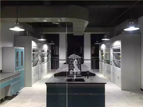 定制型高端实验台 - 2